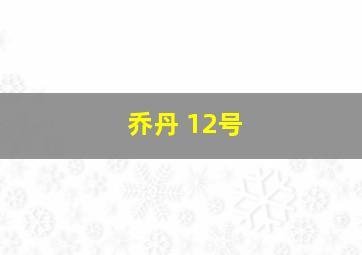 乔丹 12号